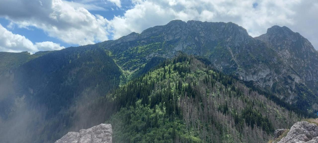 Hajnowka Zakopane